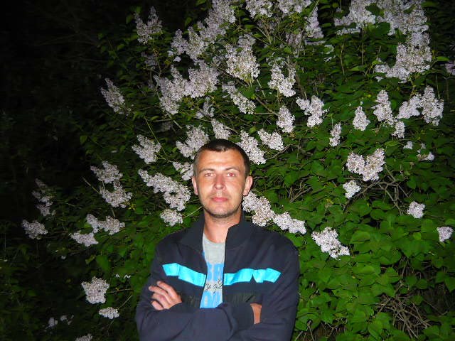 ���� �������