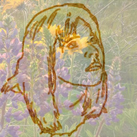 ���������� �������