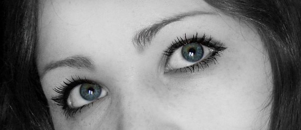 ���� ��������