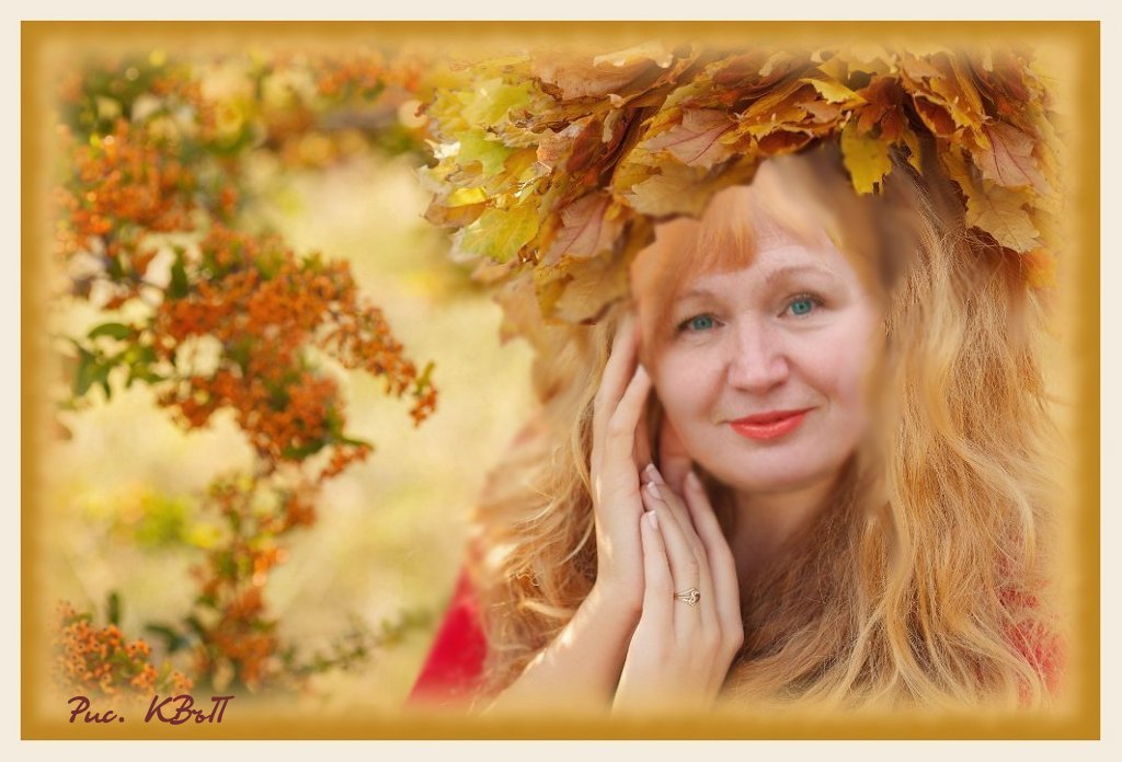 Ель Серебристая