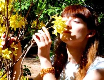 ���������� ����