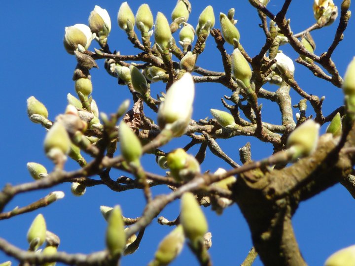 ����� �������