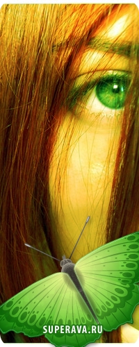 ���� �����