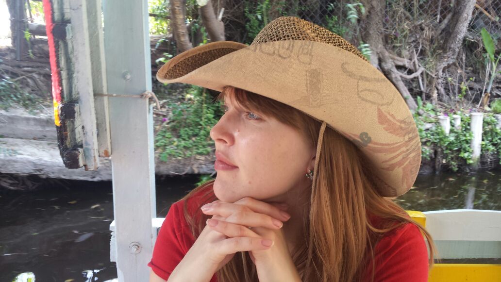 ������� ���������