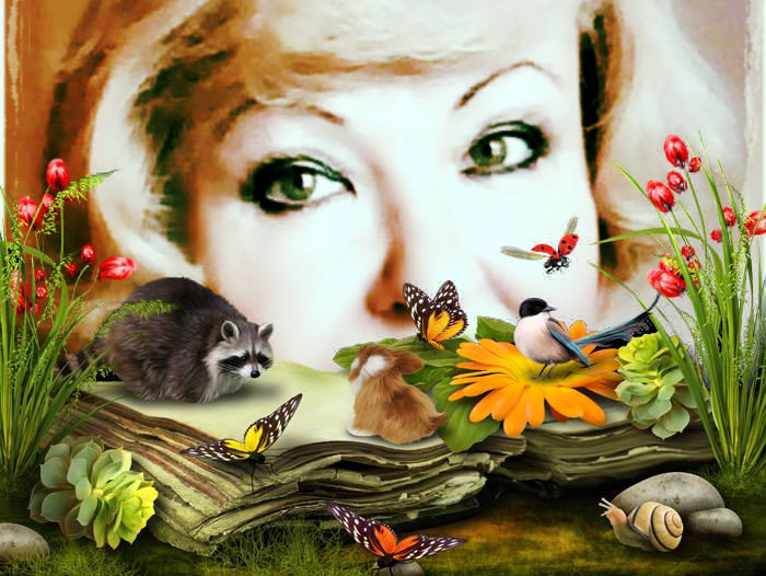 ���� ����