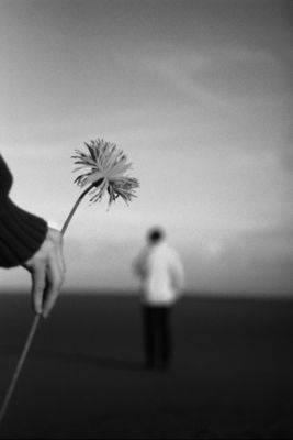 ����� ������