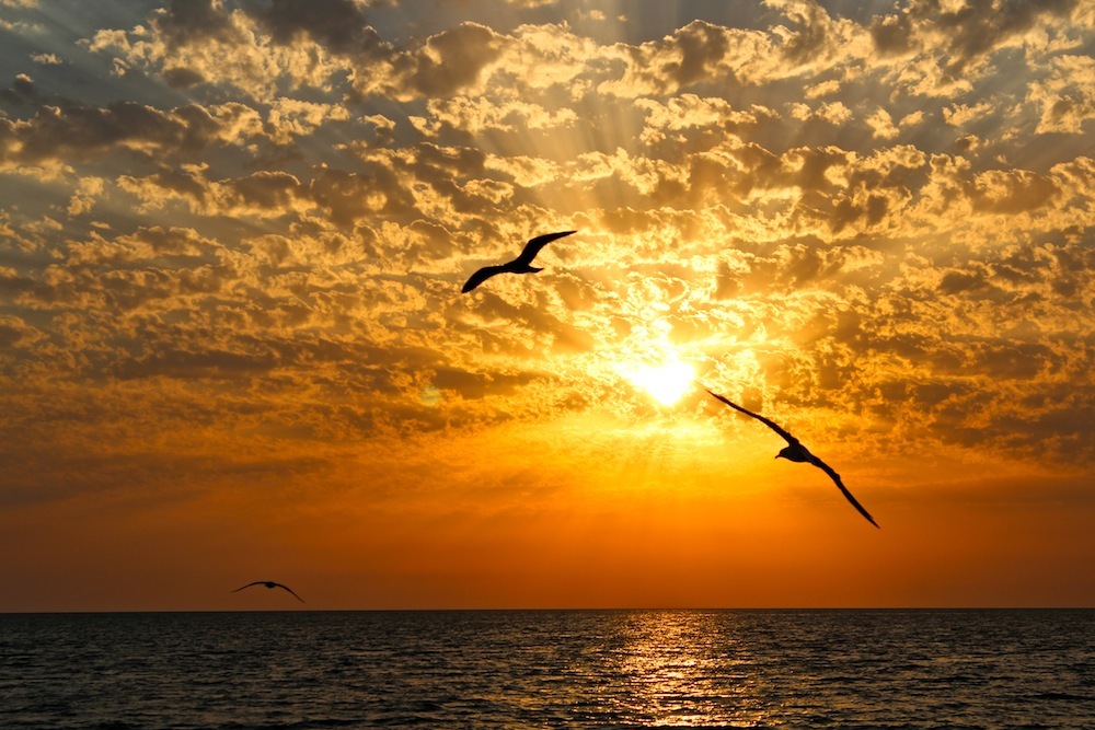 Ольга Васильева 7