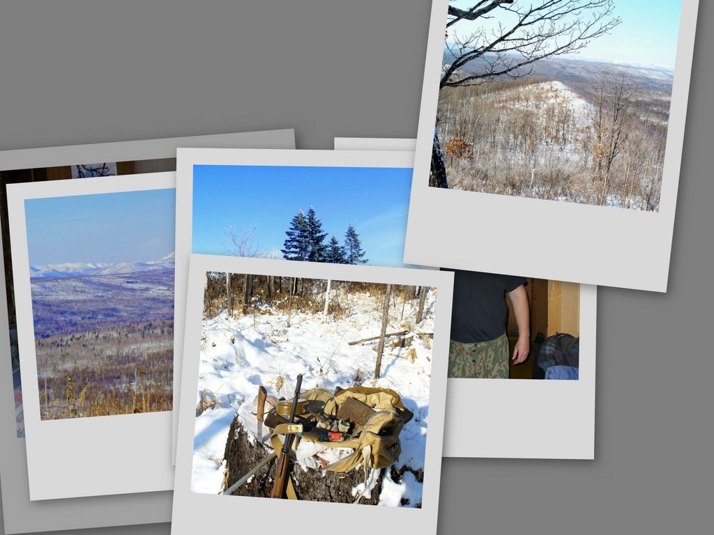 Алексей Печкуренко