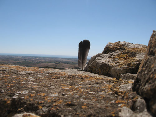 ������ ������