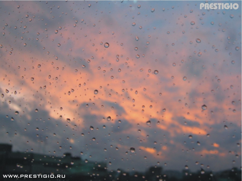 ���� ���������