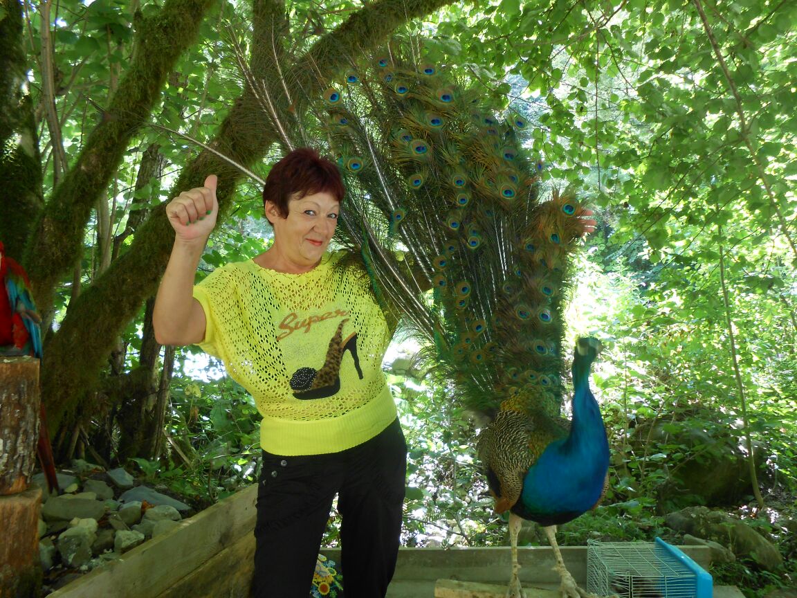 ������� ������