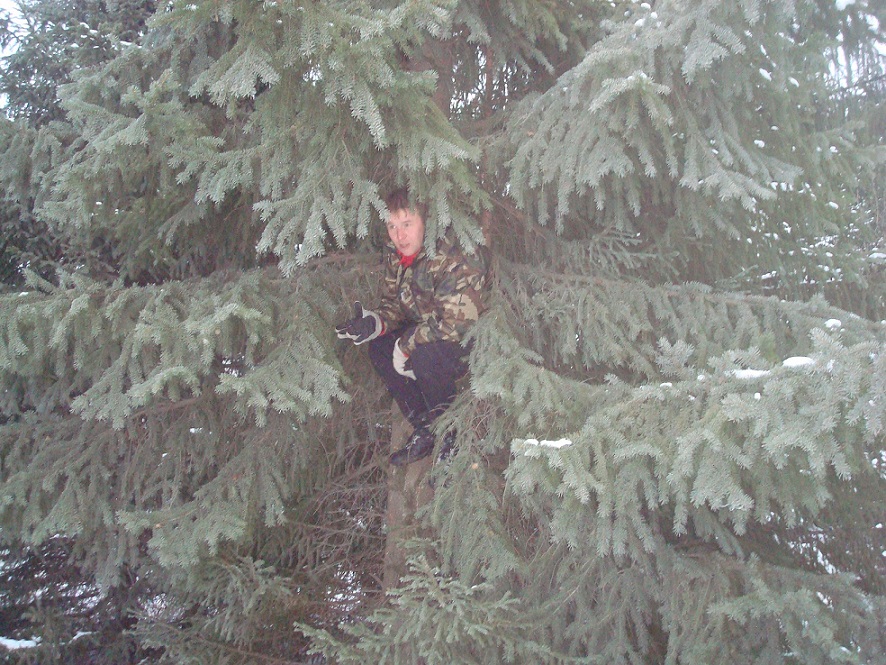 ��������� �������