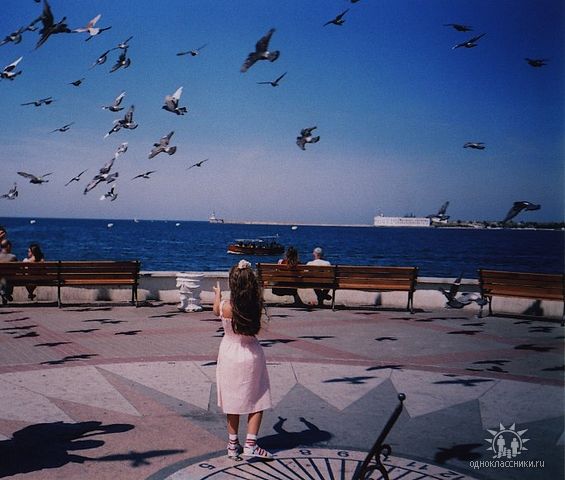 ������� ���������