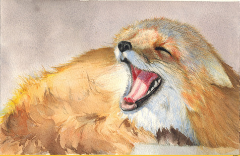 ������ �������