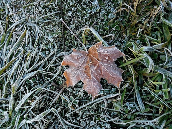 Иван Иванов 246