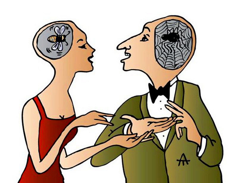 ���� �������� 2