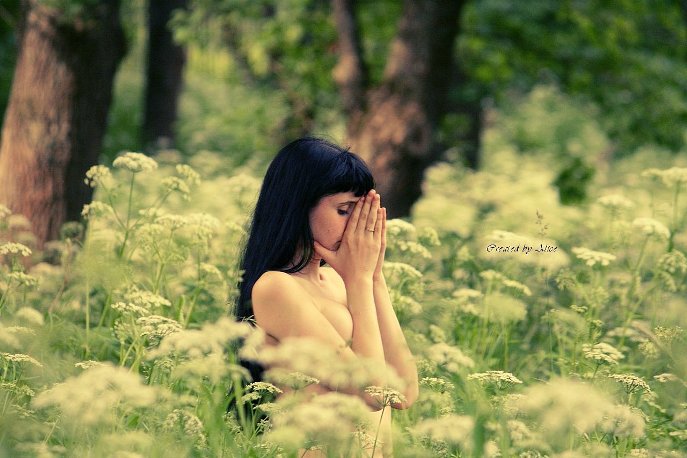 ��������� ���������