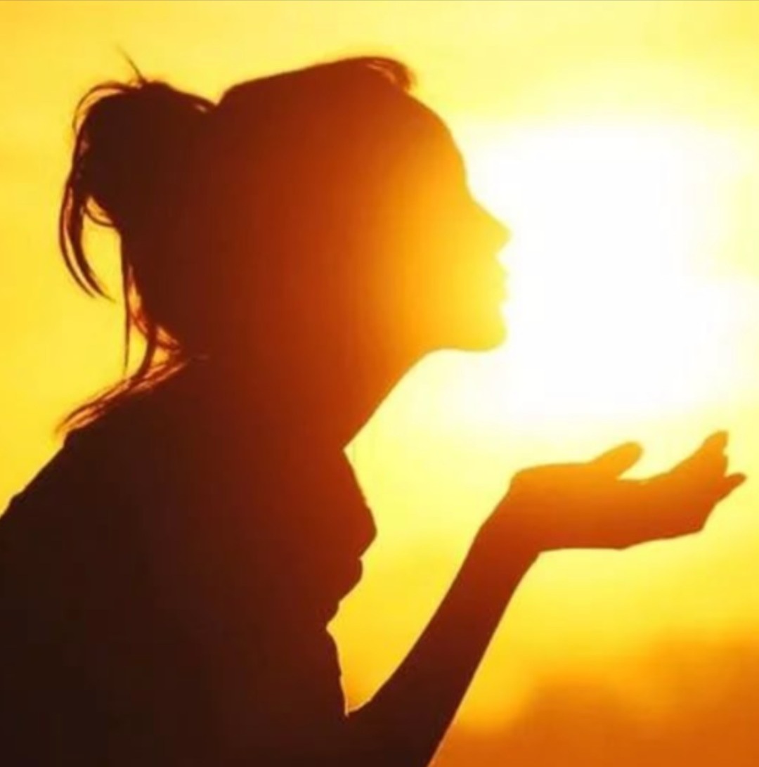 Лиза Мидлевская