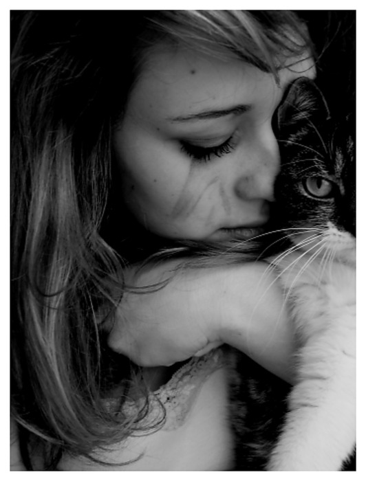 ������� ����