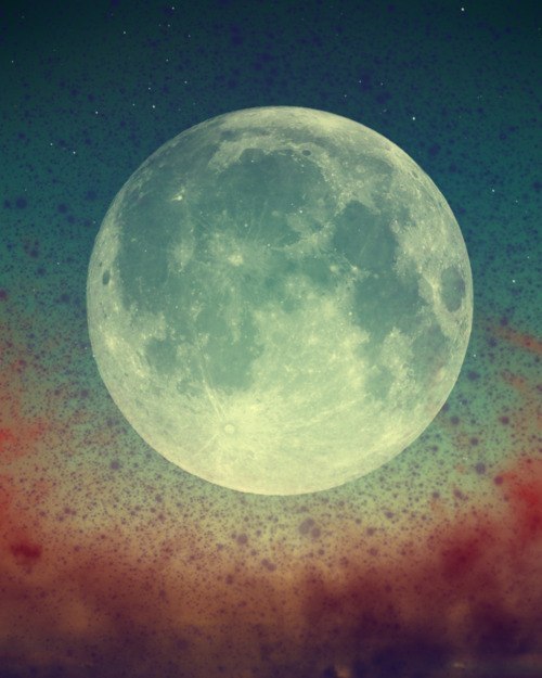 Елизавета Розенберг