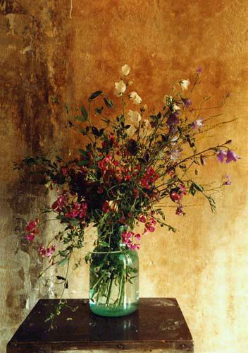 �� ����������