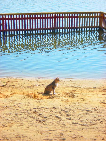 Людмила Кулагина