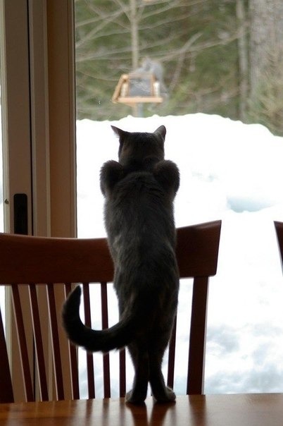 Людмила Огерчук