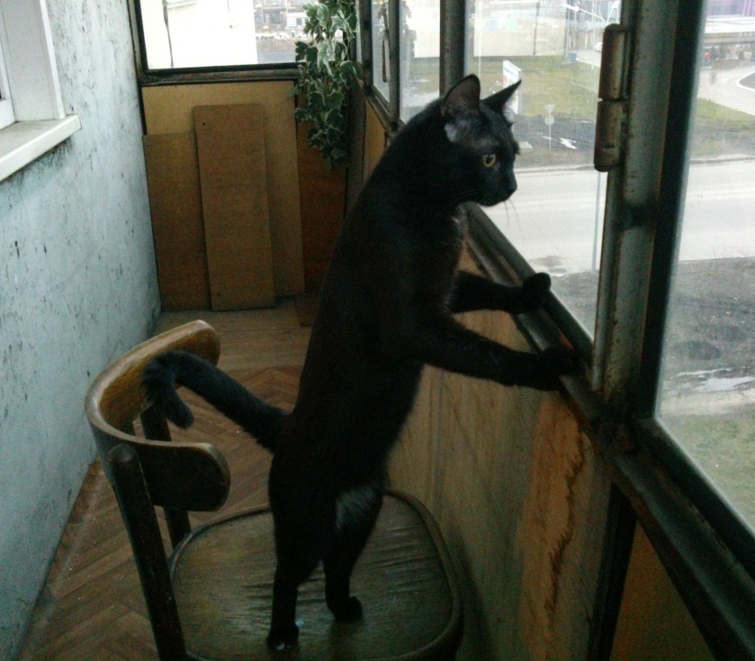 ������� ������