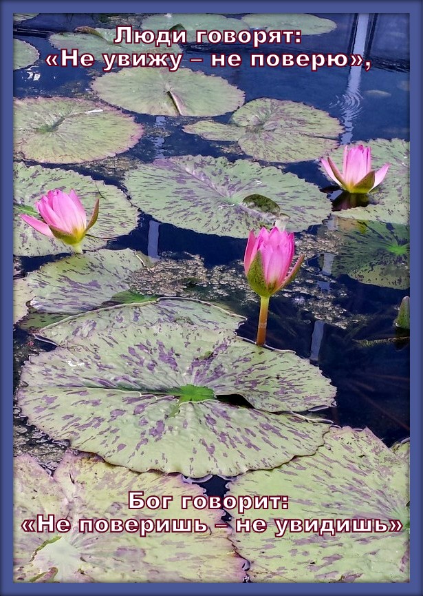 ��������� ��������� 7