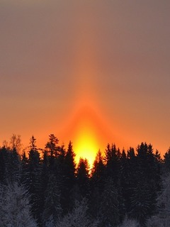 ���� ��������