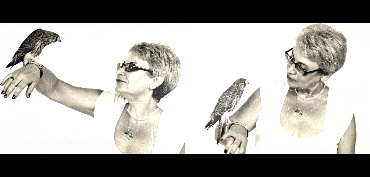 ����� �����������