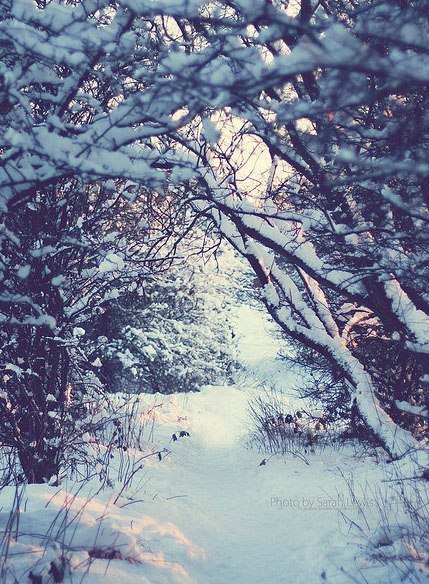 Наталия Белякова