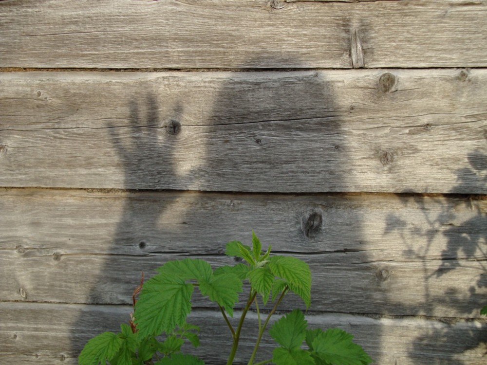 Настасья Ве-Ре-Сень