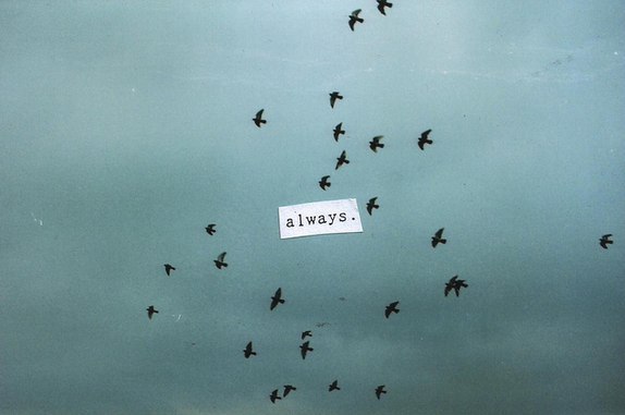 ���� ����������