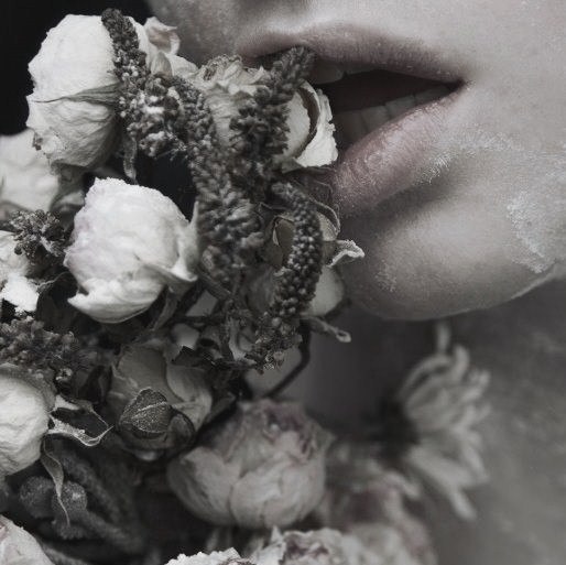 ������ ������