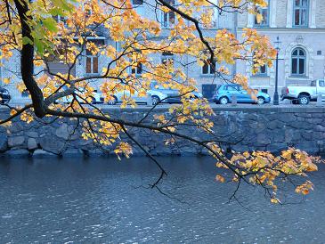 ���� �������