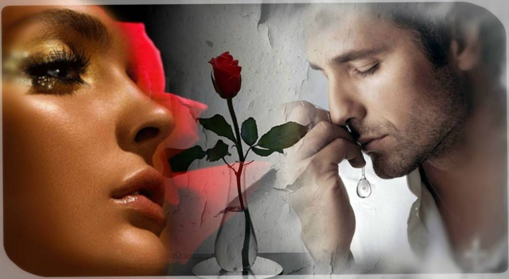 ������ ���������