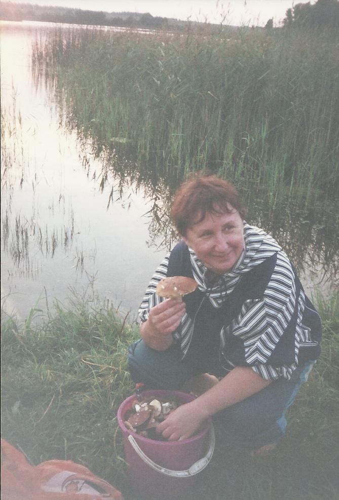 ������ ���������