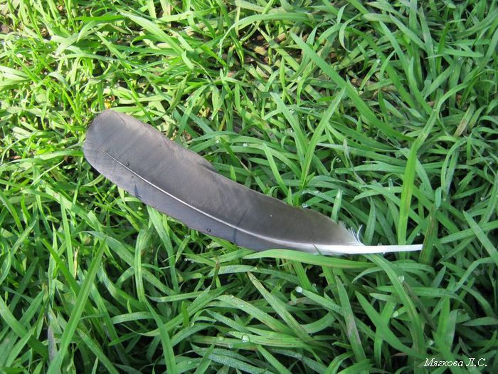 ������ ��������� �������