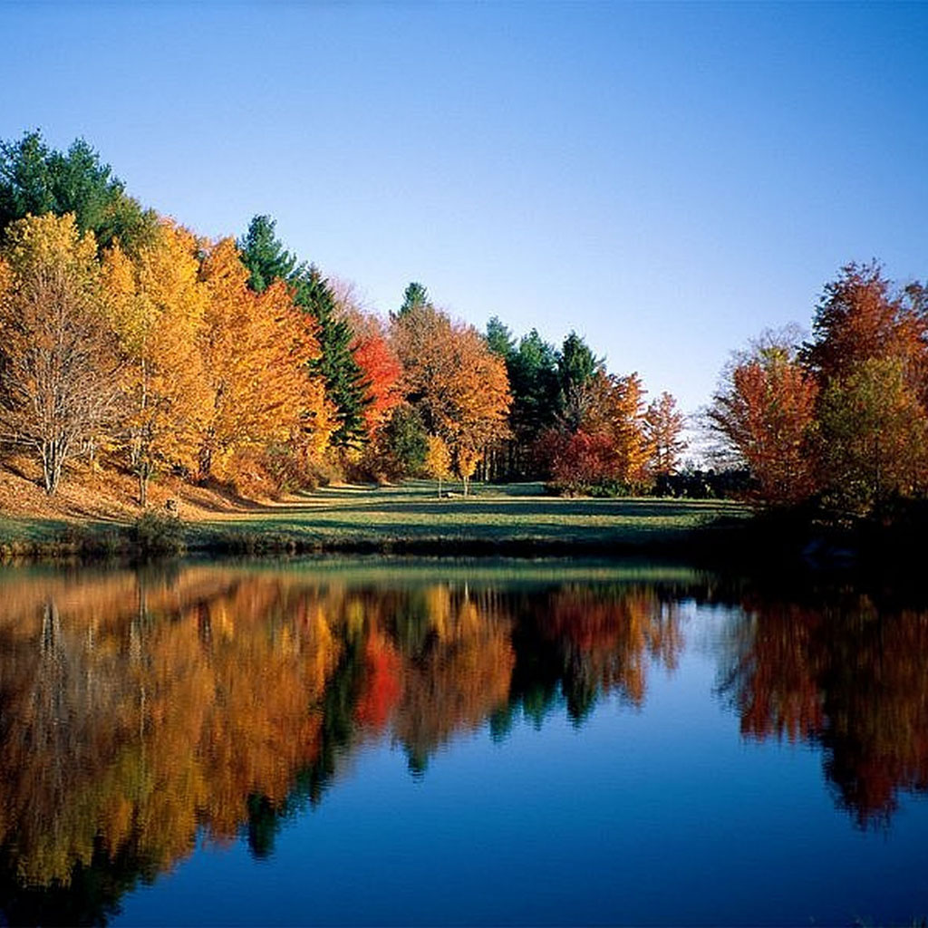 ��� �����������