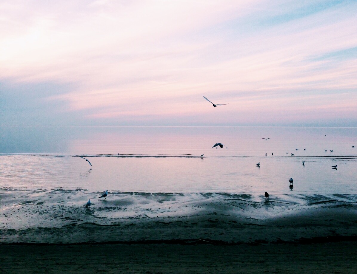 Юлия Неприкаянная