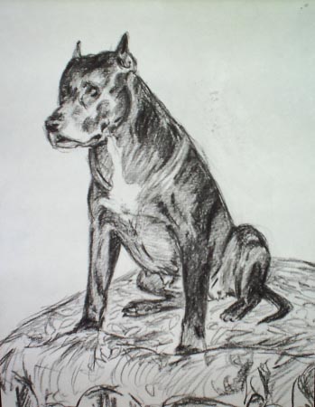 ���� �����������