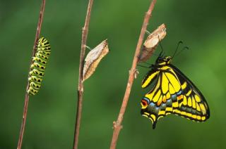 Клуб Друзей Книг