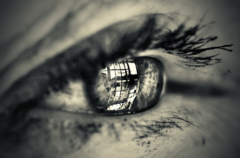 ����� �������