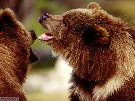 Михаил Половинкин