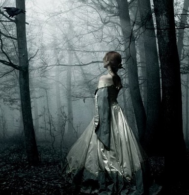 ������ ���������