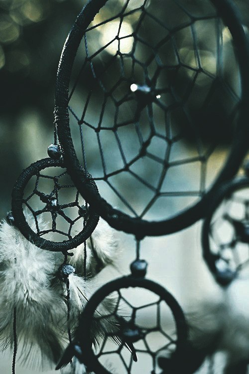 ������� ������ �����