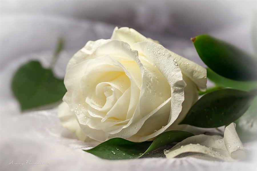 ������ 8