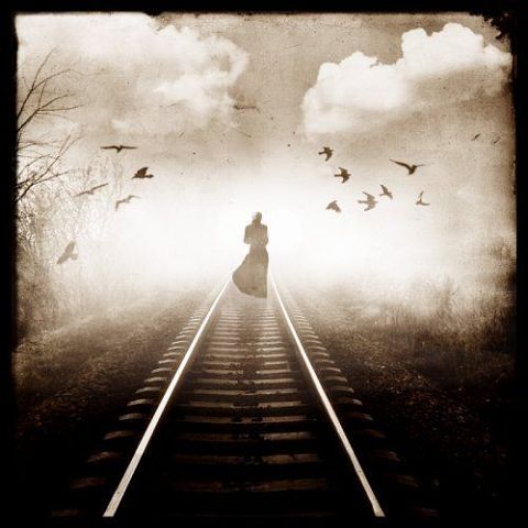 ������ ����������