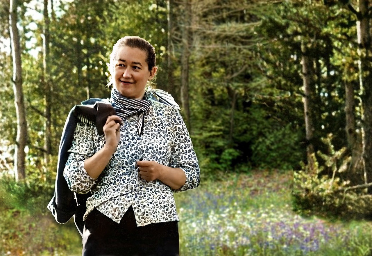 ���� ������